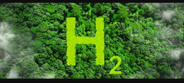 Hydrogène vert Afrique