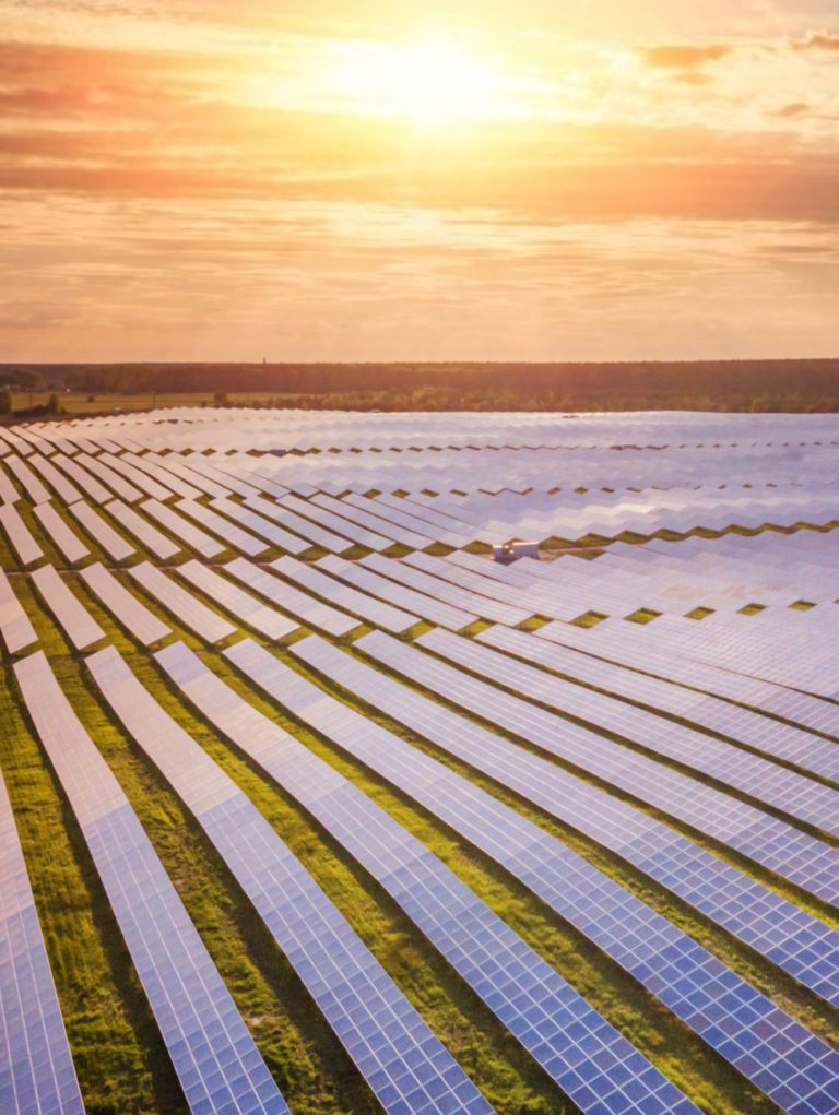 Allianz Trade publie son Sustainability Handbook